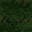 File:GRASS1.png