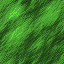 File:GRASSY.png