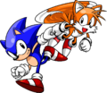 Sonic & Tails character select portrait.